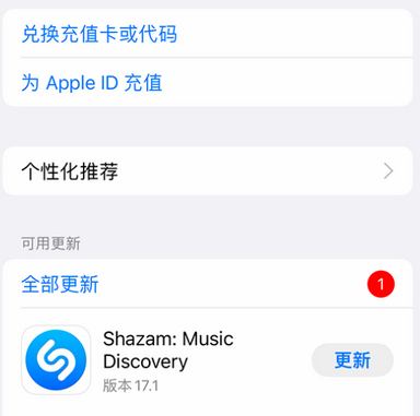 阿合奇苹果维修分享无法在iPhone上下载或更新应用办法 